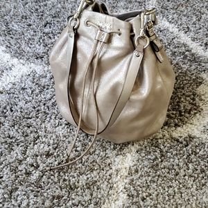 Coach Metallic Hobo